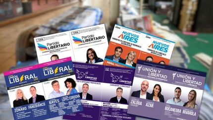Una de cada tres listas que se presentan en La Plata son liberales y compiten con LLA
