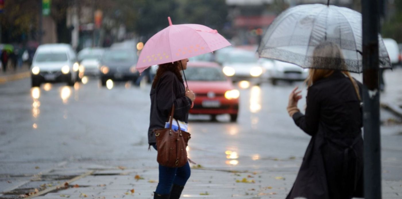 1560606388788.jpg?x=8&height=744&scaleX=1&scaleY=1&ow=1500&y=78&width=1487&rotate=0&oh=1013&&cw=1920&ch=950