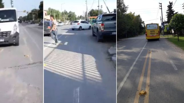 video: se canso de quienes estacionan en las bicisendas y exploto en twitter