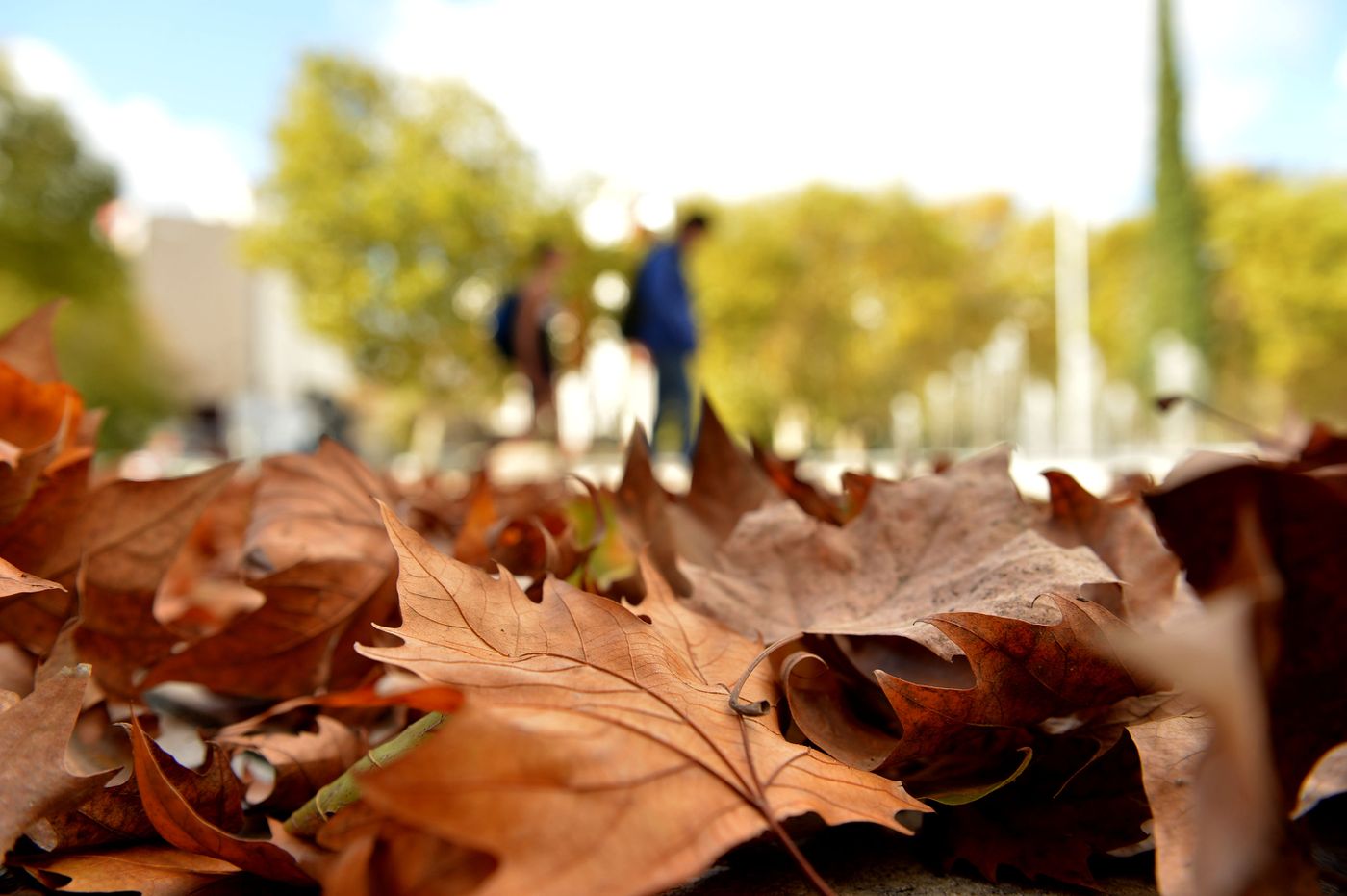 otoño3  Plaza Malvinas