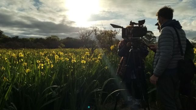 uno por uno: los 80 ganadores del programa para financiar peliculas de la provincia