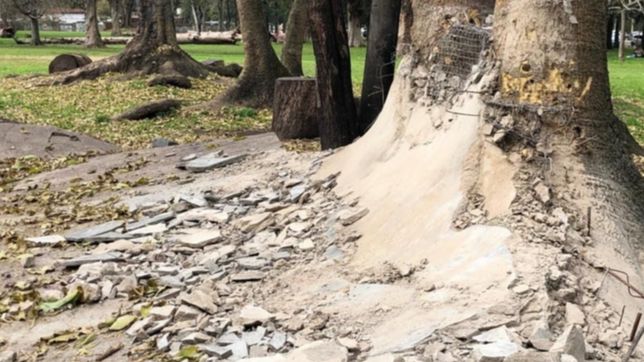 construyeron una pista ilegal de skate en el bosque y tuvieron que derribarla