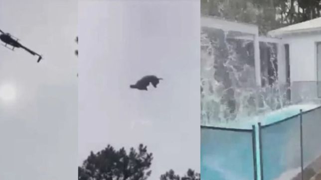 vengan a comer un cordero que va a caer del cielo: dicen que lara bernasconi sabia todo