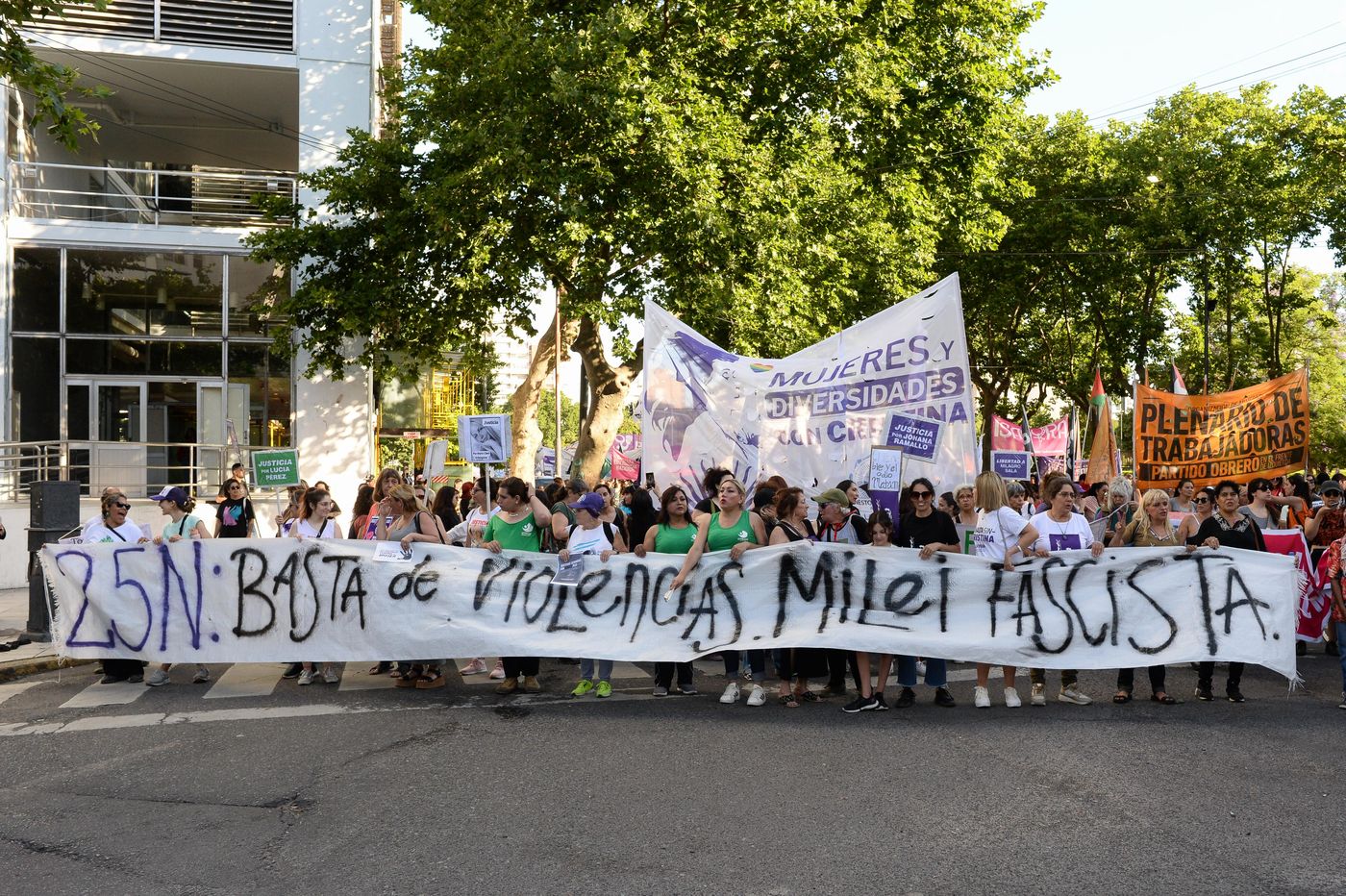 Marcha violencia de género violencia contra la mujer 25N (4).JPG
