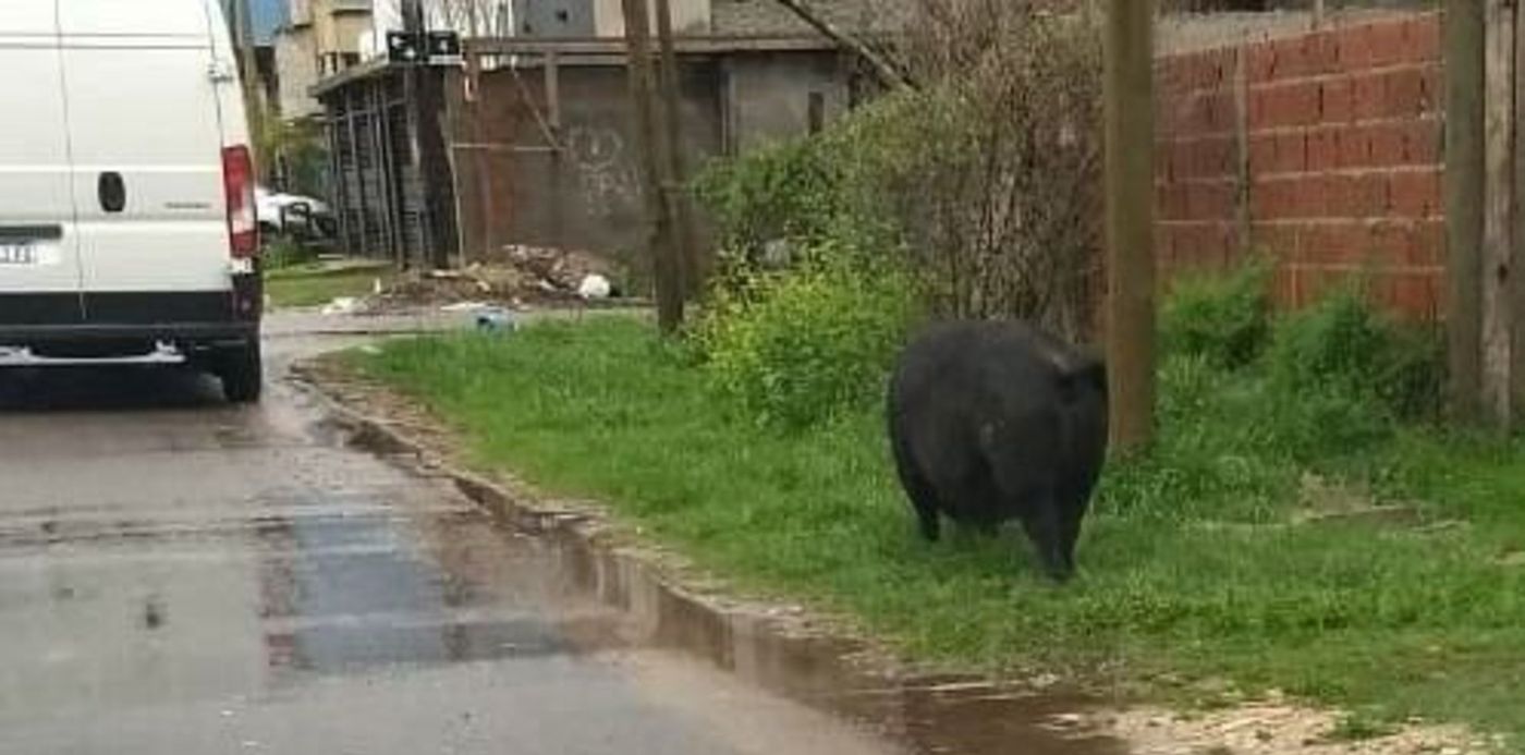 1570891058914.jpeg?&cw=1920&ch=950