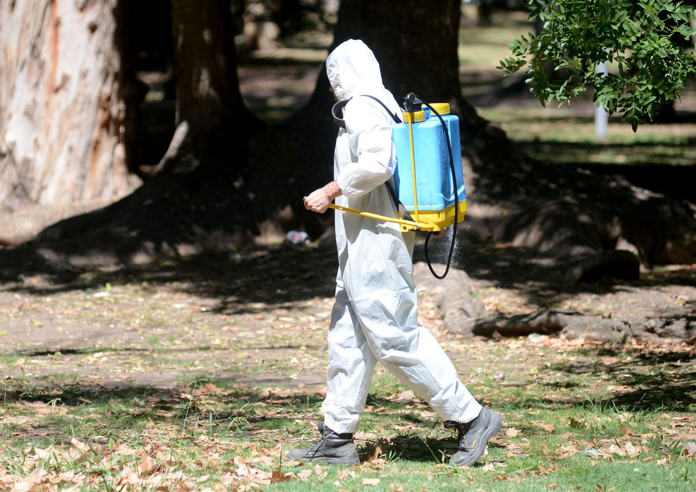 Fumigación mosquitos (9).JPG