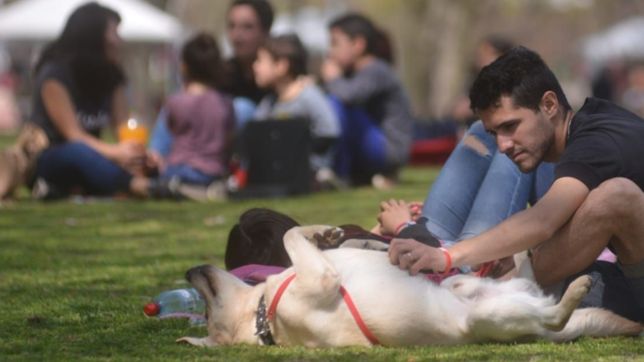 jueves a pleno sol en la plata en la previa de un viernes con lluvias
