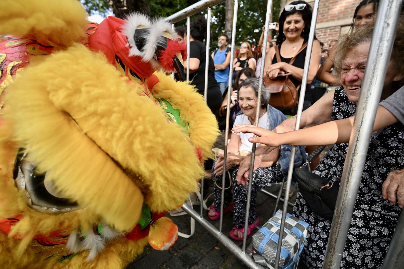 Carnaval 2026 en Meridiano V (19)