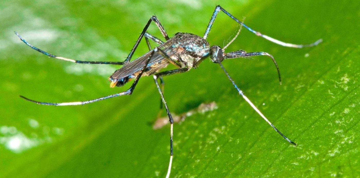 1574718521340.jpg?ow=1500&x=6&width=1488&height=744&scaleX=1&y=284&rotate=0&scaleY=1&oh=1138&&cw=1920&ch=950