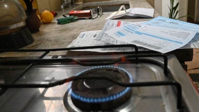 el 80% de los hogares que llenaron el formulario mantendra los subsidios de luz y gas