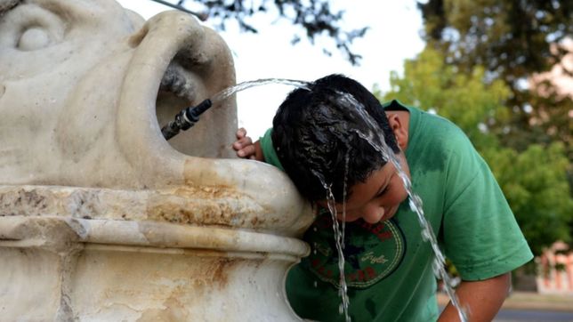 calor agobiante y alerta naranja: ¿cuanto subira la temperatura en la plata?