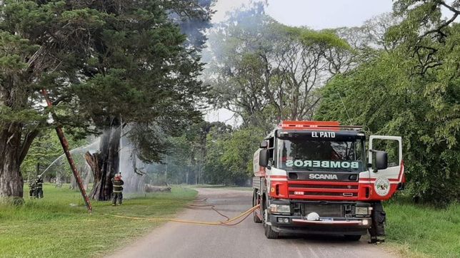 robos, incendios y vandalismo: crece el temor dentro del parque pereyra