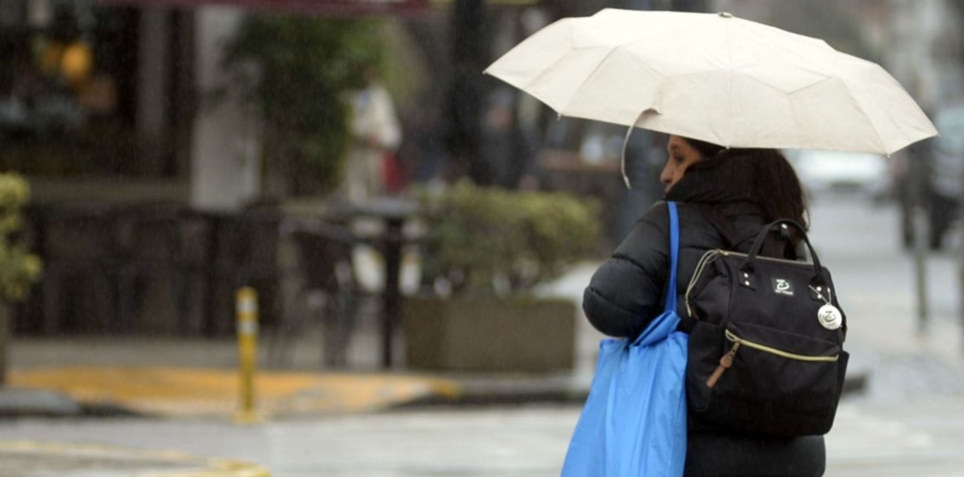 1557052596706.jpg?ow=1500&oh=1048&rotate=0&y=35&width=1472&height=736&scaleX=1&scaleY=1&x=14&&cw=1920&ch=950