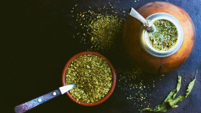 investigadores de la unlp producen fertilizantes con restos de la yerba mate
