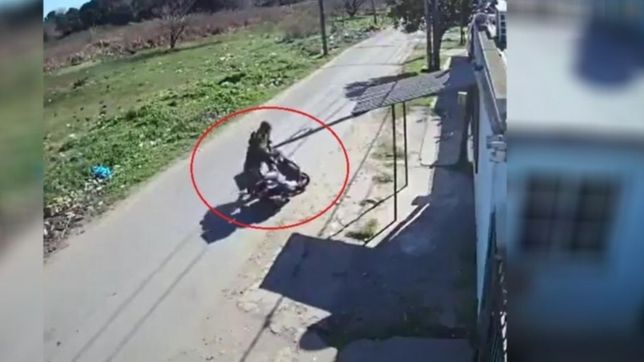 video: un delincuente le robo a una mujer a plena luz del dia en la plata