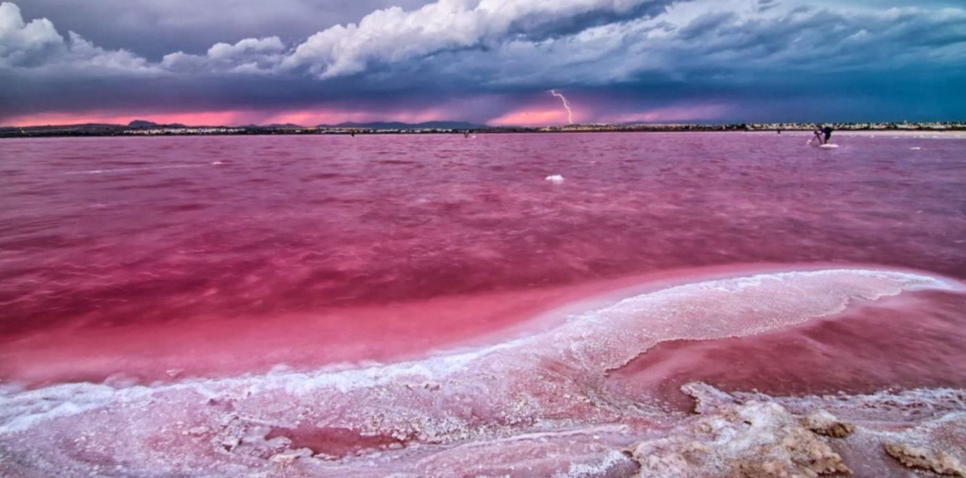 1614265946403.jpg?x=18&y=159&width=1475&height=737&rotate=0&scaleX=1&scaleY=1&ow=1500&oh=969&&cw=1920&ch=950