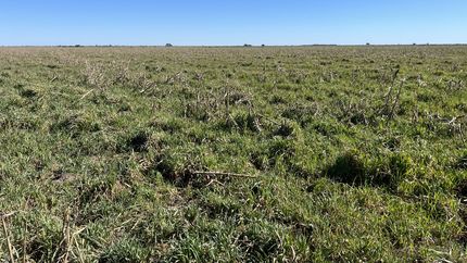 La UNLP recibirá un campo de 134 hectáreas de la Provincia