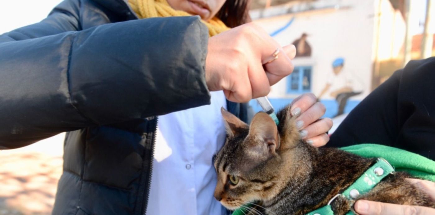 1624207157176.jpeg?&cw=1920&ch=950