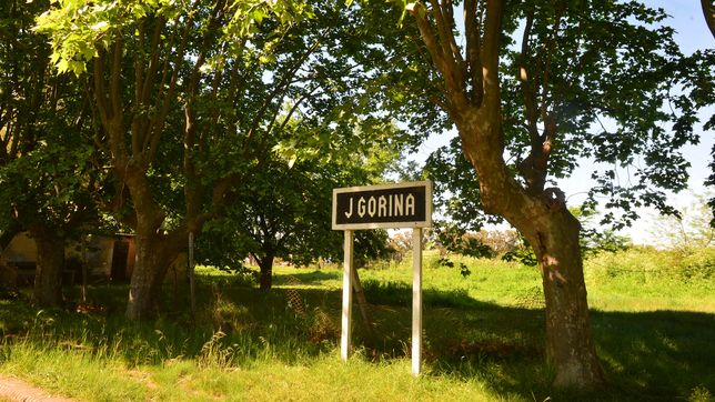 gorina festeja su 102 aniversario con musica, feria de la economia popular y servicios municipales