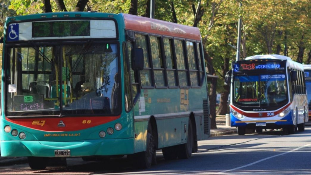 Confirman que los micros serán gratuitos durante el domingo de elecciones en La Plata