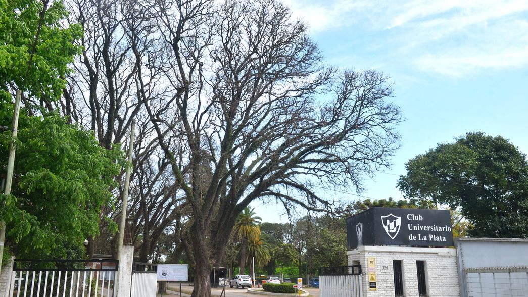 Club Universitario presenta un nuevo deporte en su sede de Gonnet con un gran evento