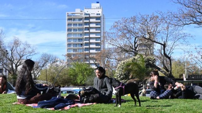 jueves fresco y soleado en la plata, con un fin de semana muy agradable en el horizonte