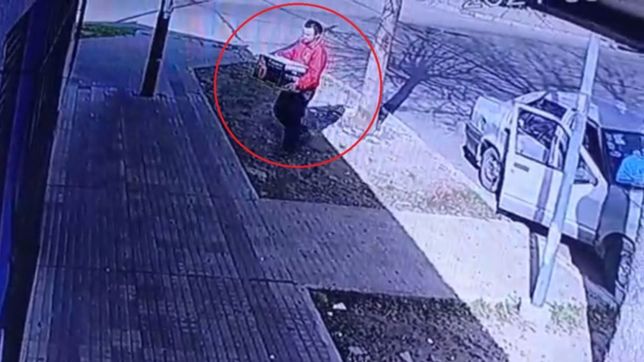 video: asi abandonaron a una gatita y sus crias en la puerta de una veterinaria platense