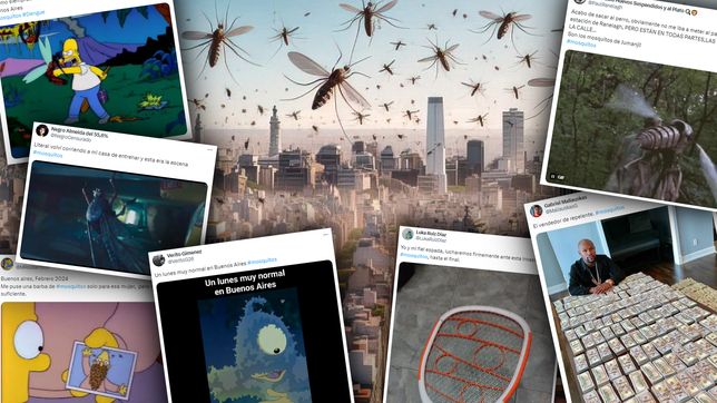 los desopilantes memes que genero la invasion masiva de mosquitos en la plata
