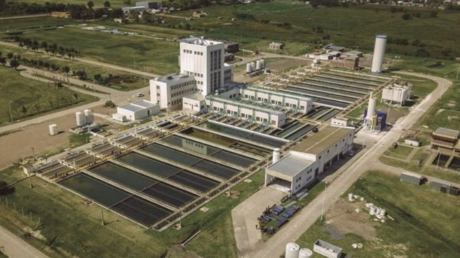 las algas ya afectan la provision de agua y disponen asistencia con camiones cisterna