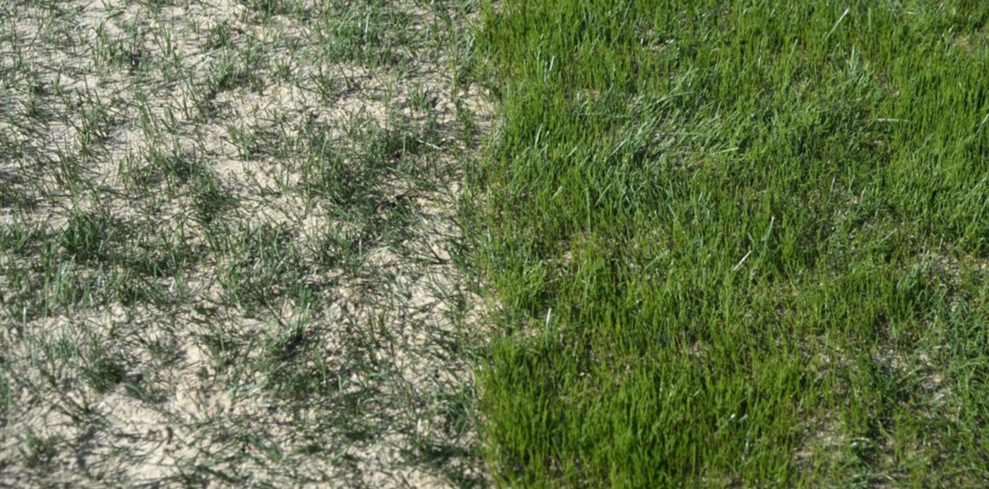 1546430137344.jpg?x=2&y=217&rotate=0&oh=1034&width=1496&height=748&scaleX=1&scaleY=1&ow=1500&&cw=1920&ch=950