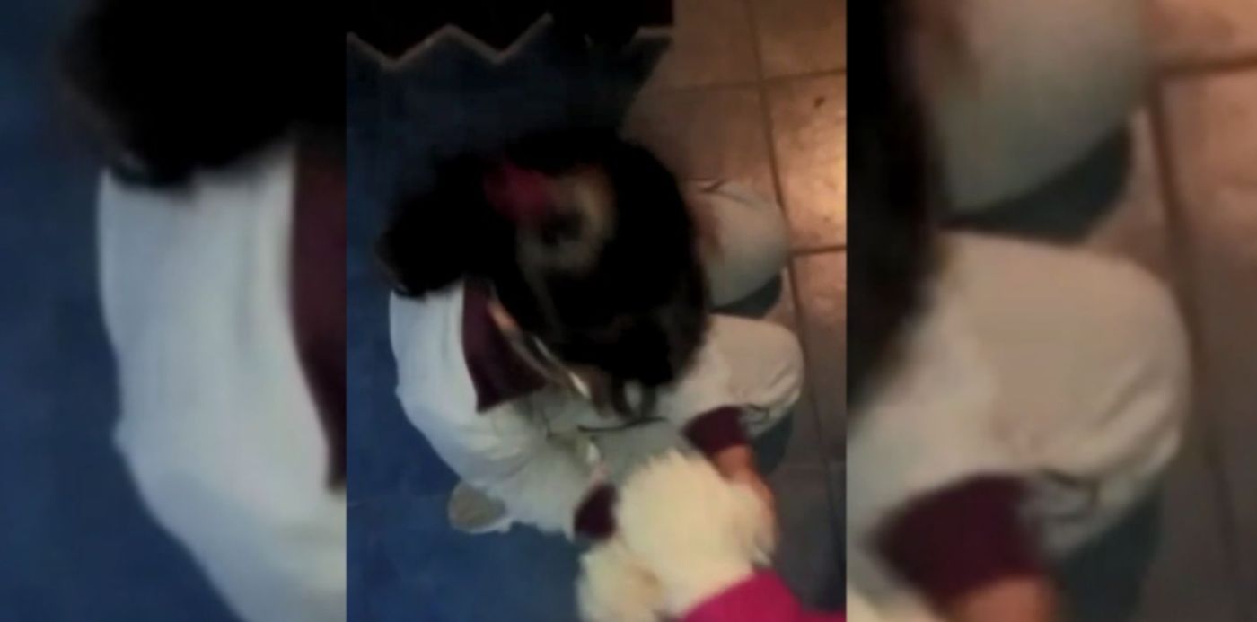 1558483499244.jpg?x=1&rotate=0&ow=1280&scaleY=1&oh=720&y=81&width=1278&height=639&scaleX=1&&cw=1920&ch=950