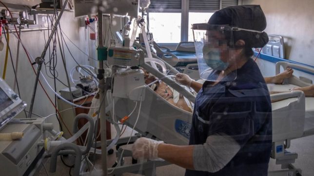 coronavirus: confirman 82 muertos y 9.230 casos nuevos en argentina