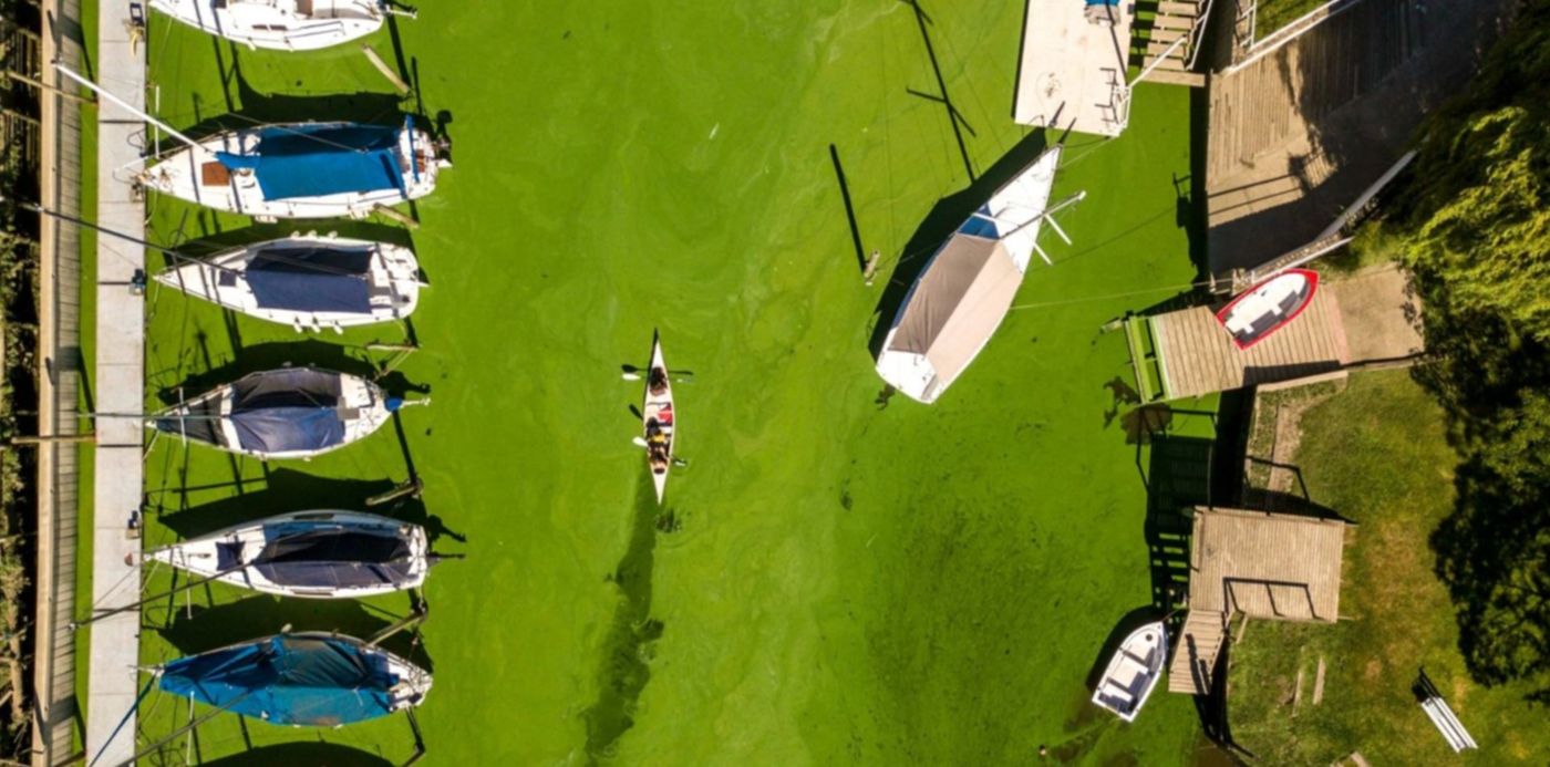 1606098607457.jpg?x=11&y=217&width=1466&height=733&rotate=0&scaleX=1&scaleY=1&ow=1500&oh=1124&&cw=1920&ch=950