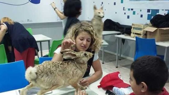 la unlp realizara una muestra interactiva de bichos para chicos con autismo