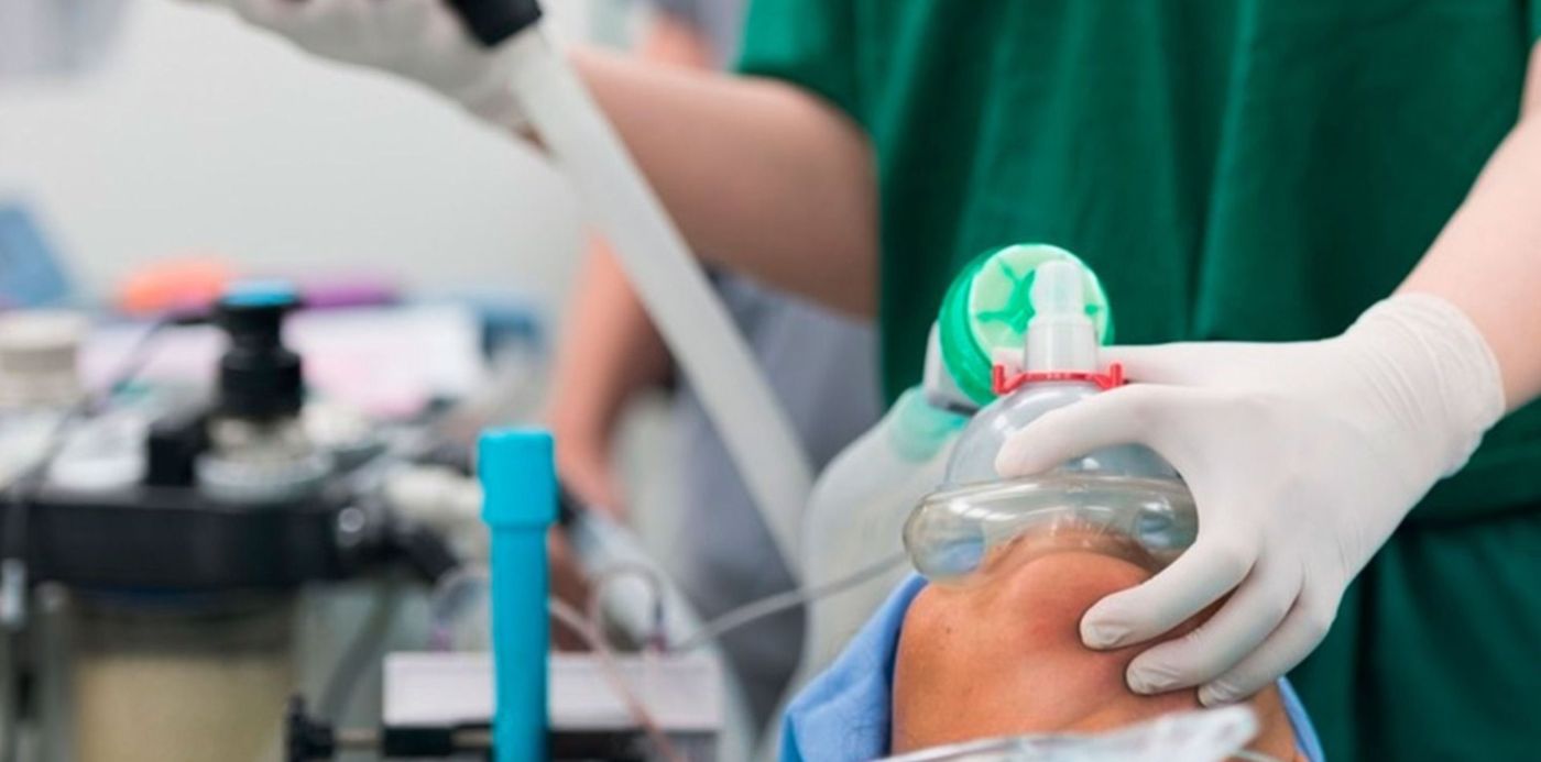 1585355966591.jpg?width=1486&height=743&rotate=0&scaleX=1&scaleY=1&ow=1500&oh=996&x=11&y=158&&cw=1920&ch=950