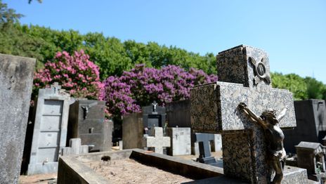 Cementerio de La Plata (1).jpg