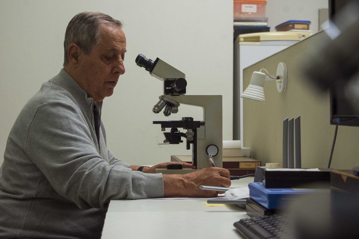 El catálogo destaca el papel que tienen los jejenes como polinizadores y depredadores hasta su impacto en la salud pública como vectores de enfermedades.