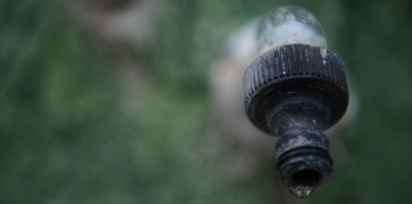 1580776083484.jpg?x=11&y=169&width=1475&height=738&rotate=0&scaleX=1&scaleY=1&ow=1500&oh=996&&cw=1920&ch=950