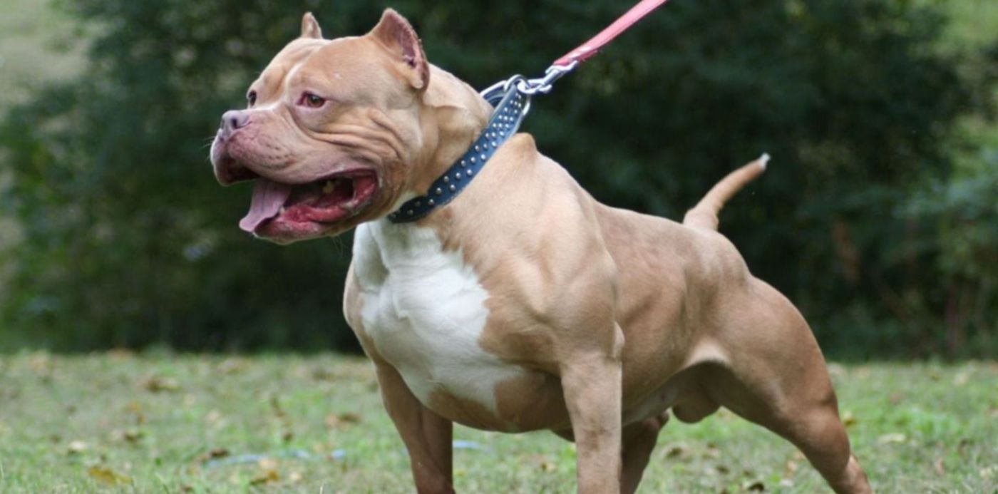 1565197114143.jpg?x=6&y=0&width=1488&height=744&rotate=0&scaleX=1&scaleY=1&ow=1500&oh=843&&cw=1920&ch=950