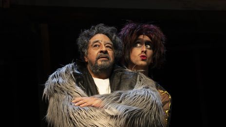 Música, humor, teatro y más: la agenda cultural explota de opciones en La Plata