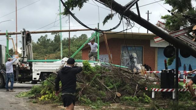 calles anegadas y arboles caidos, asi golpeo la tormenta en ensenada