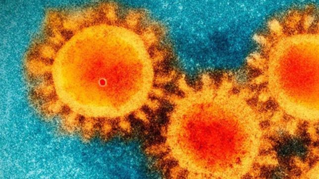 las siete claves para entender el avance de la nueva mutacion del coronavirus en el mundo