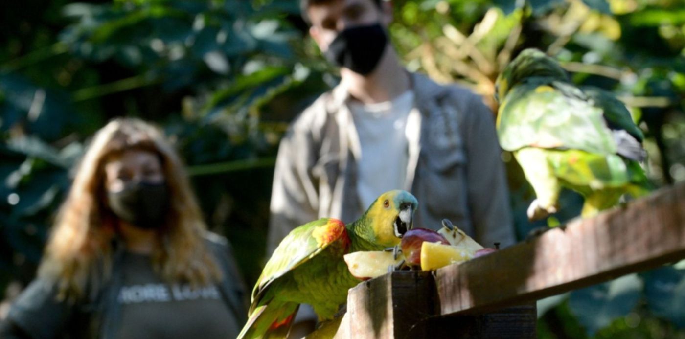 Dia del animal- enriquecimiento Bioparque