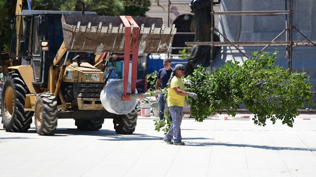 el arbolado de las plazas y los parques se mete en el debate del concejo en medio de la campana