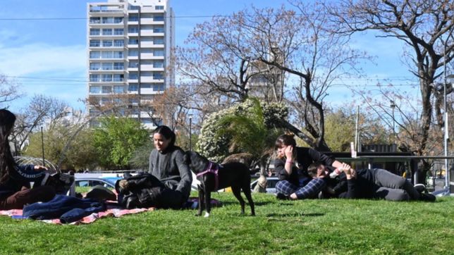 una por una, todas las aperturas que anuncio el gobierno hacia la nueva normalidad