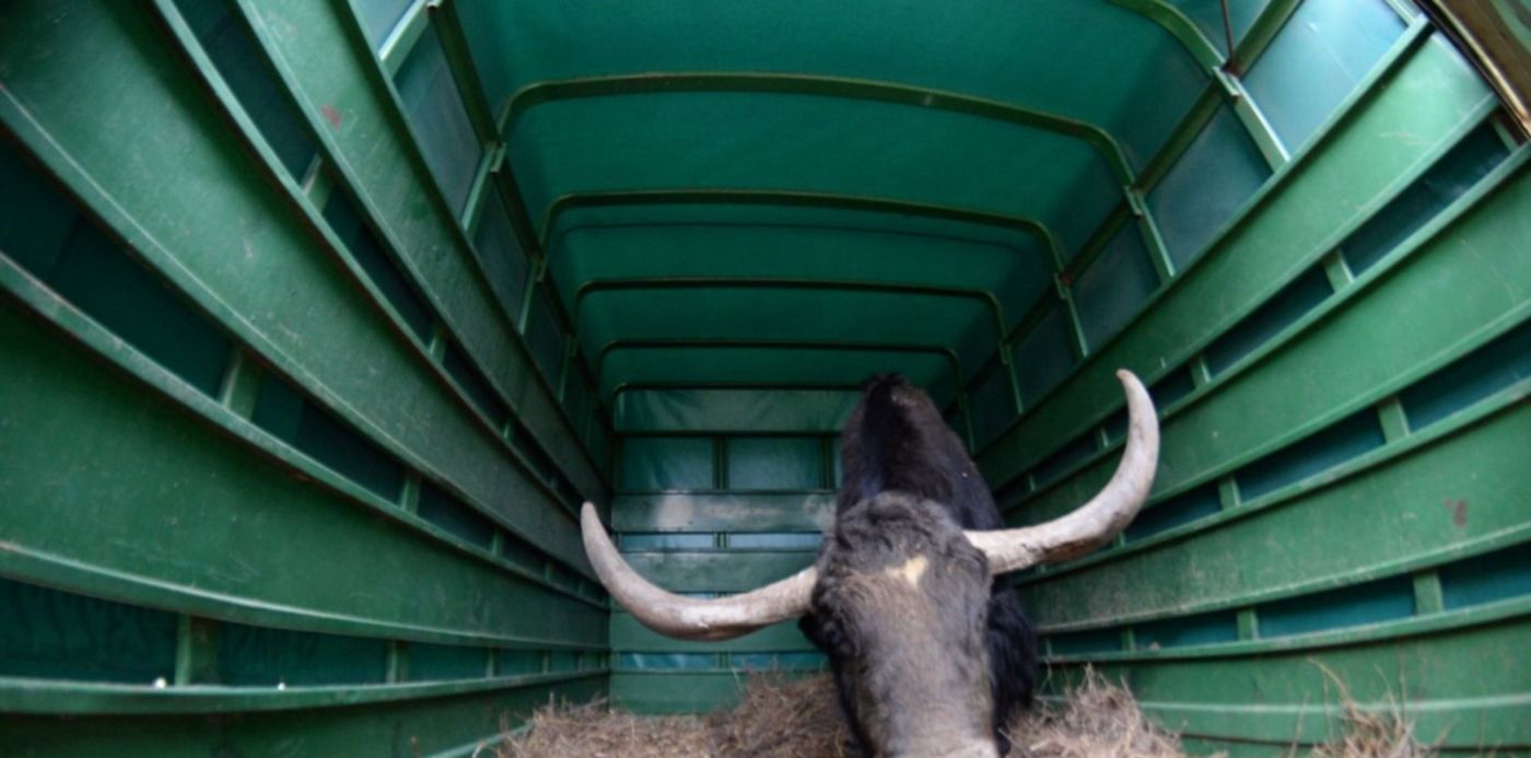 1564675480663.jpg?&cw=1920&ch=950