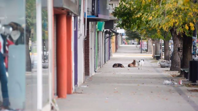 la cgt convoco a un paro general de 24 horas el proximo 29 de mayo