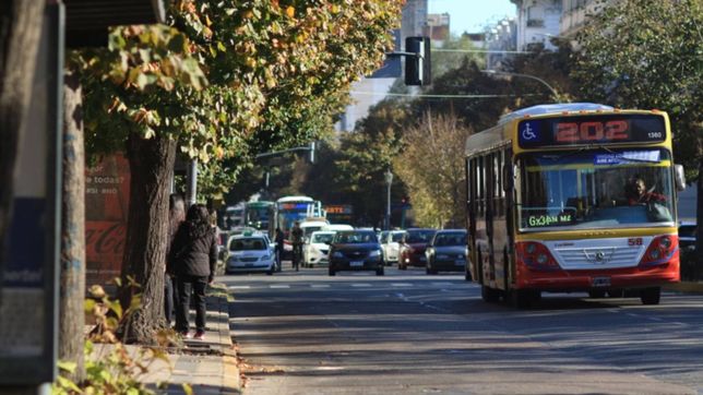 el pliego por la licitacion del transporte publico podria llegar al concejo tras las paso