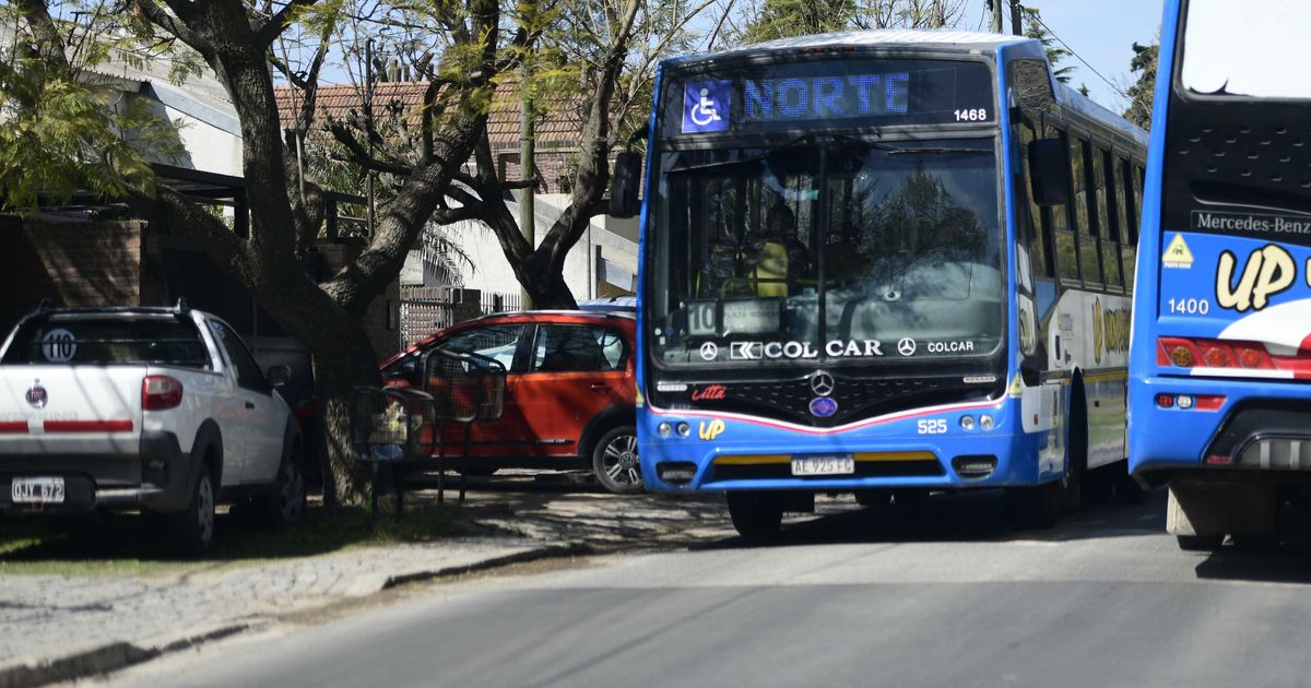 Los cambios que tendrá el sistema de micros en La Plata con la ...