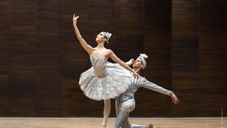 Vuelve el ballet al Teatro Argentino de La Plata con la suite de La Bayadera Vuelve el ballet al Teatro Argentino de La Plata con la suite de La Bayadera